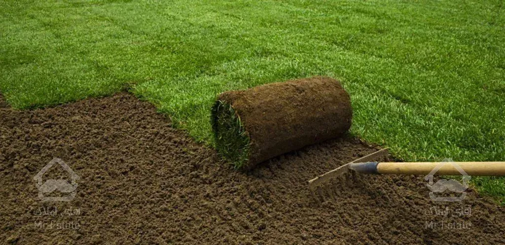 طراحی و اجرای فضای سبز و فروش چمن رول