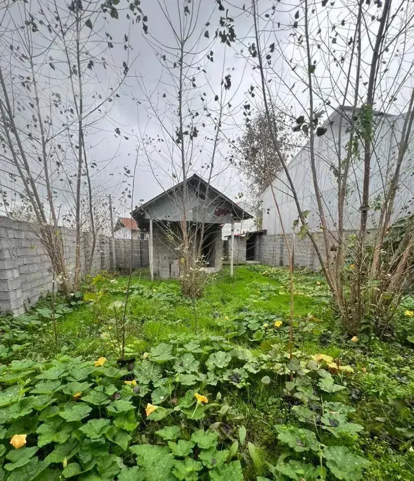 سوئیت ۲۰۰متری باسند تکبرگ ۱۵دقیقه شهر لاهیجان