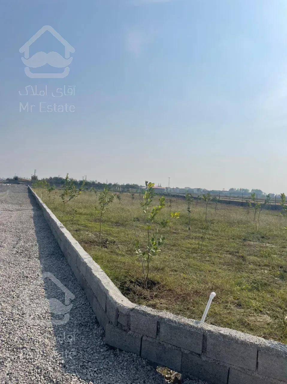 فروش ۷۰۰ متر زمین در جاده سرخرود