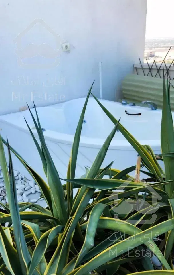 دوخواب  پنت هاوس با جکوزی