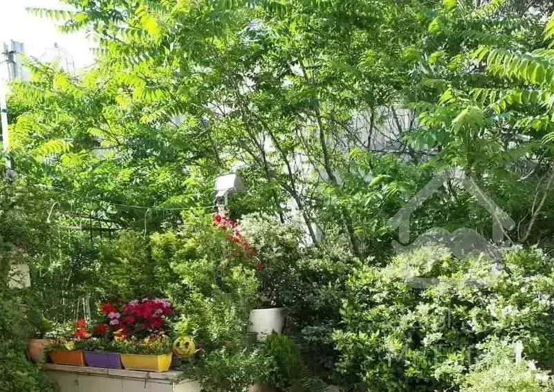 ۴۴ متری / یک خوابه / میرداماد شمال / سوئیت