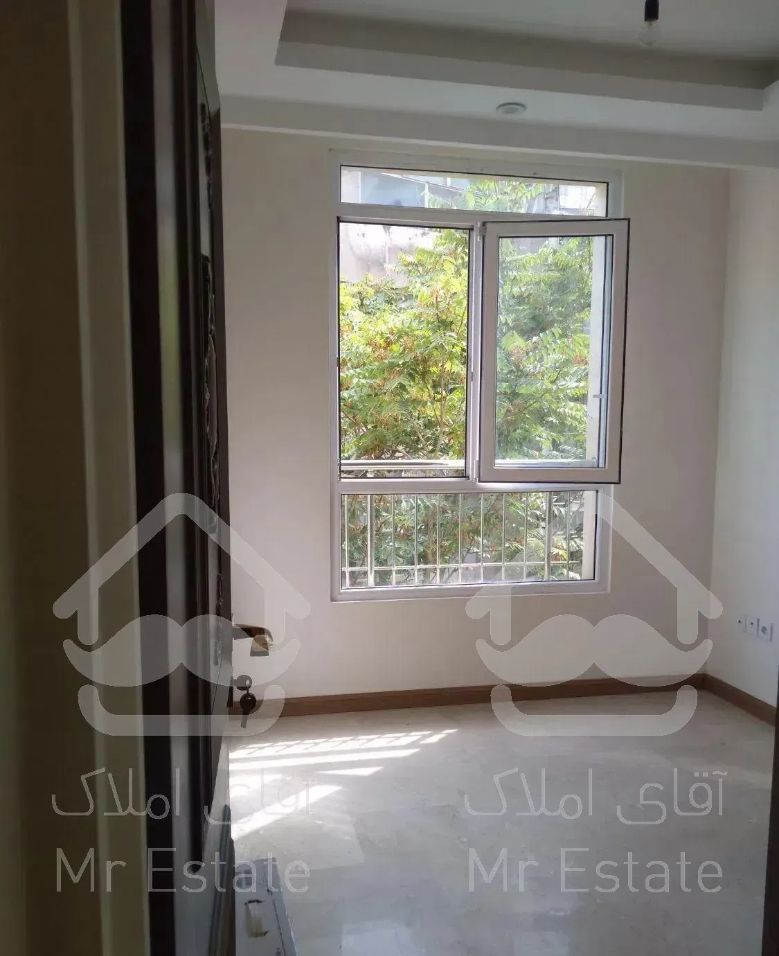 میرداماد/اطلسی/تکواحدی/غرق نور