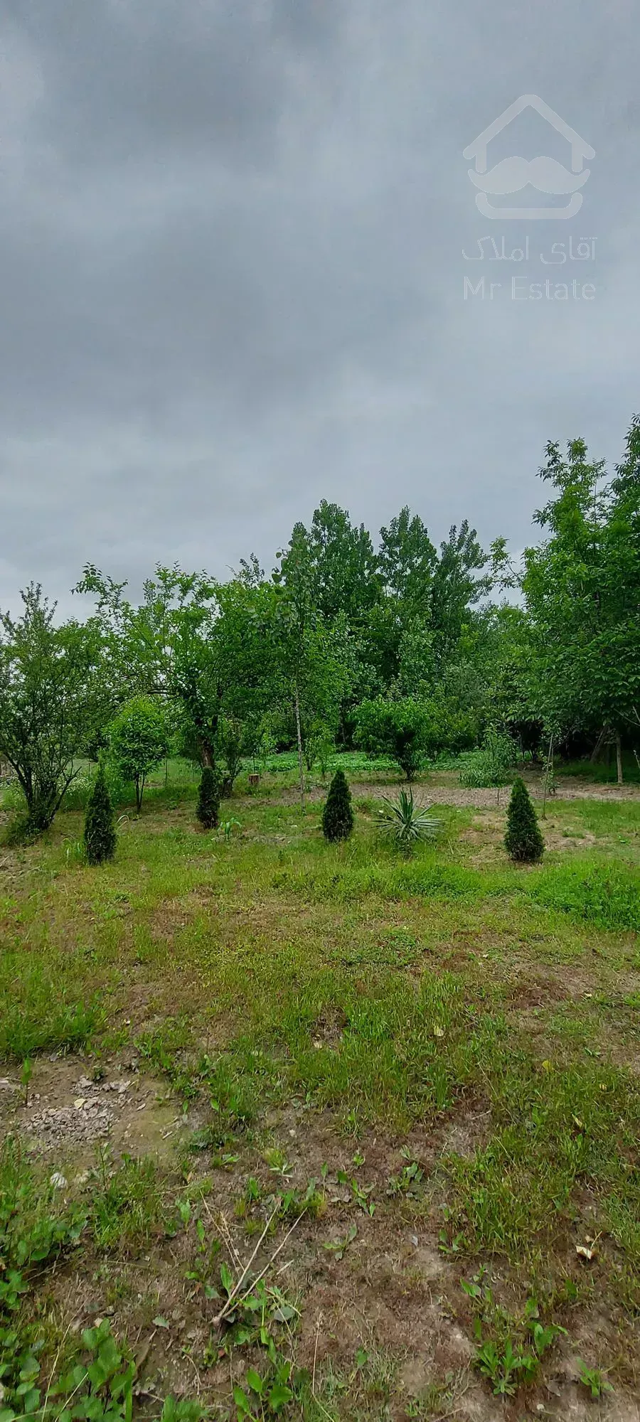 180متر ویلا داخل 3000 متر باغ فروش فوری