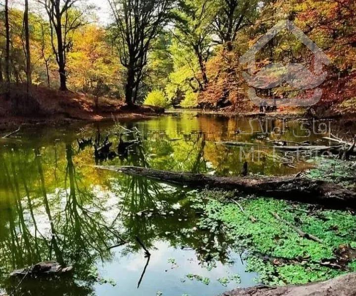 اجاره سوئیت سنتی و ویلا جنگلی زیبا با پارکینگ