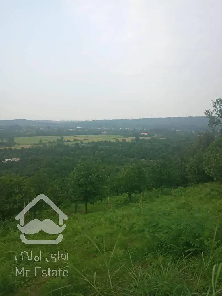 فروش زمین باغی در جاده نظامی با ویو بسیار زیبا