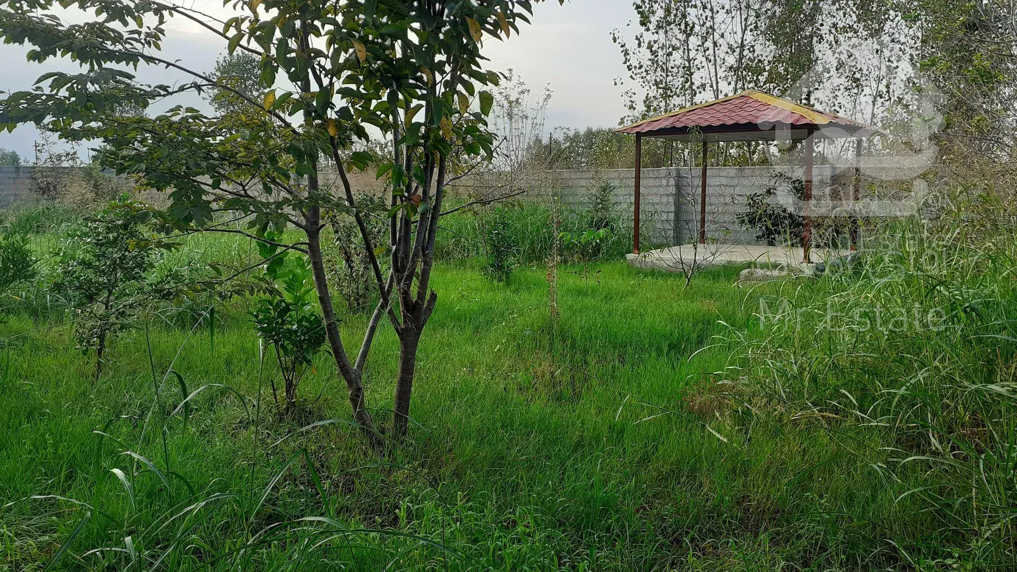 خانه کوچک و ۷۴۱ متر زمین با ۲۰۱ متر مجوز ساخت