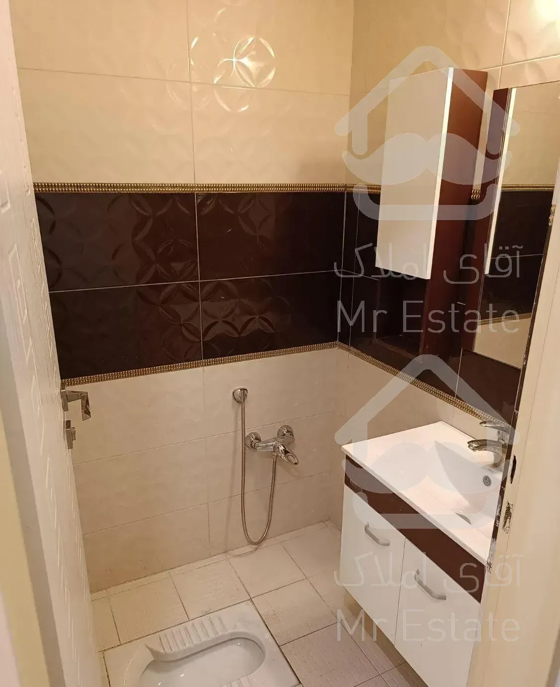 ۱۶۹ شاهین جنوبی تک واحدی