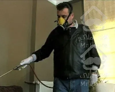 ریشه کنی سوسک بدون سم و سمپاشی