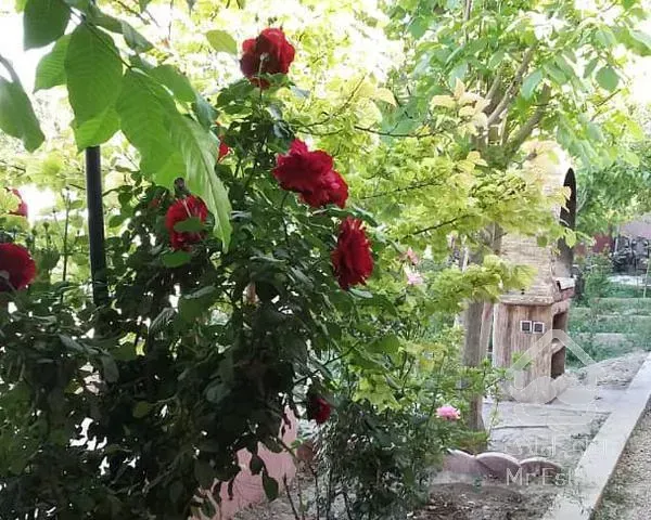 اجاره باغ ویلا بیشه ناژوان(جاده سلامت)