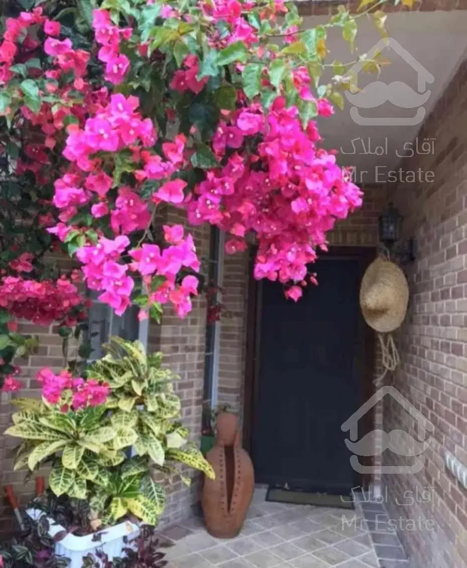 بازسازی و دیزاین داخلی