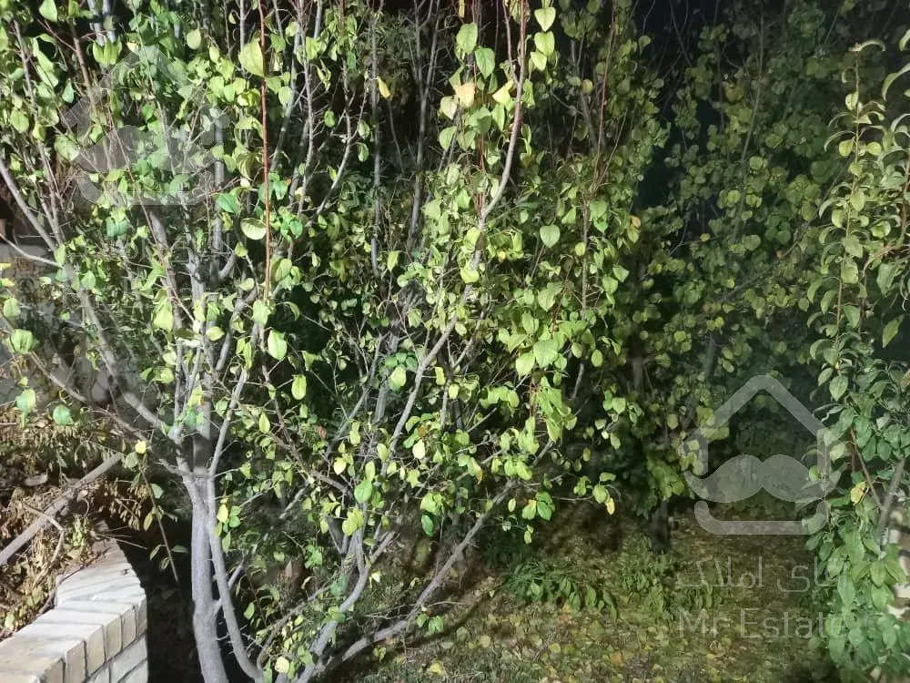 باغ ویلا مهریز