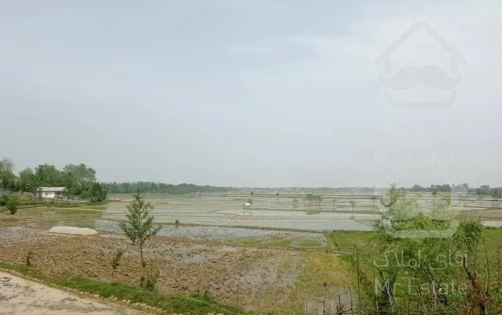 ویلای جنگلی روستای گردشگری چالشم