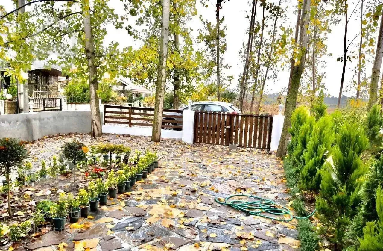 ویلانیم پیلوت(270متری)/سند تک برگ/جنگلی