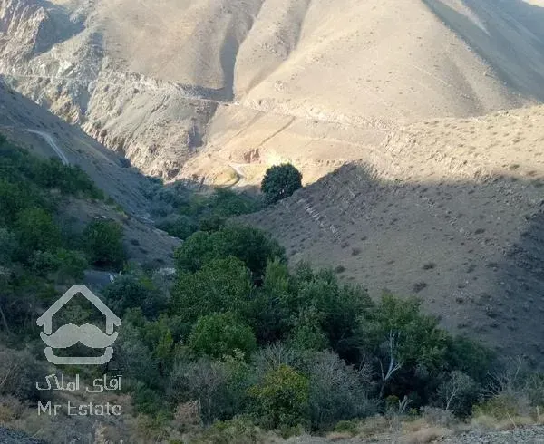 زمین با ویو  برای باغ