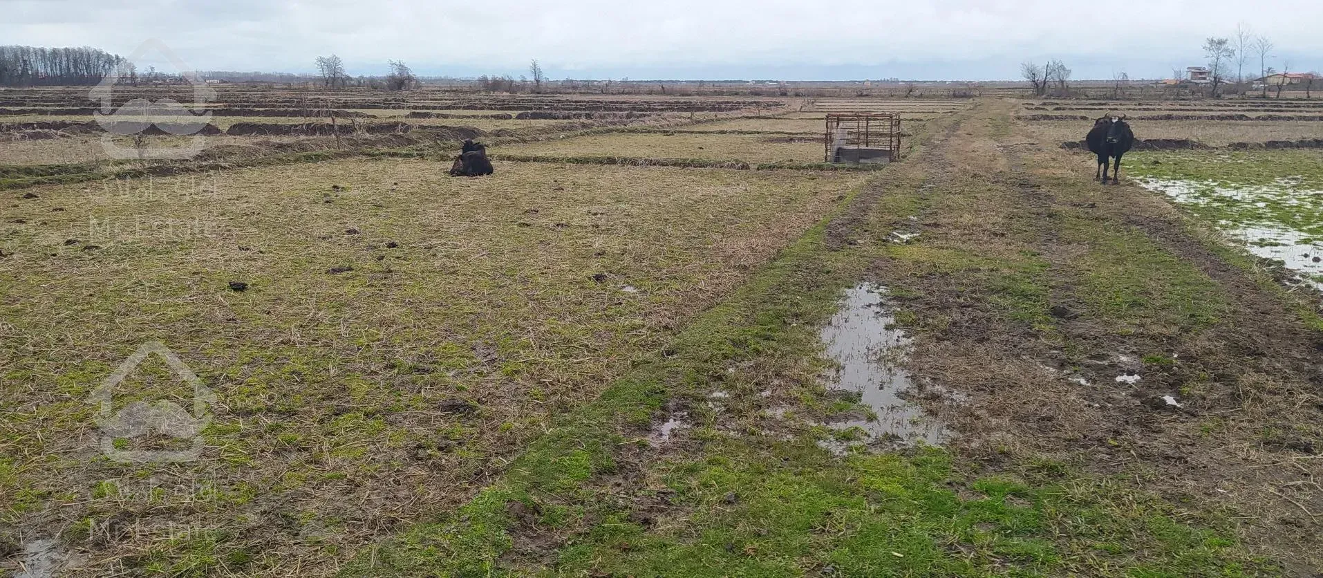 زمین مزروعی مناسب سرمایه گذاری