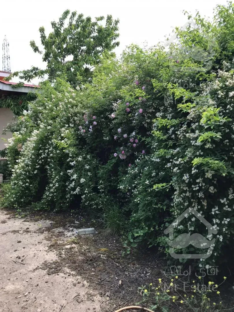 ویلا کلاردشت کردیچال