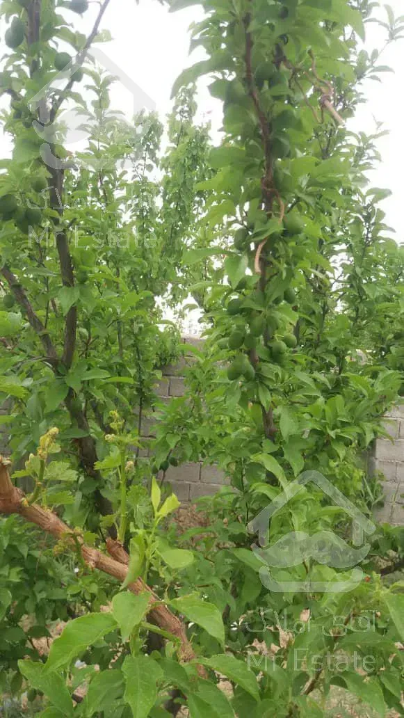 باغ ویلا به مساحت ۱۳۰۰ متر