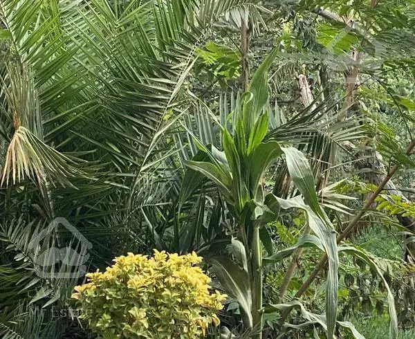 ویلایی ۳۰۰ متربا حیاط۱۳۰۰ متری