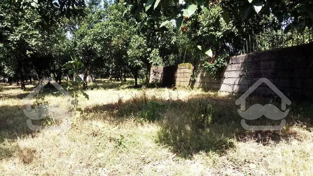 فروش باغ مرکبات و کیوی با قابلیت شهرک سازی