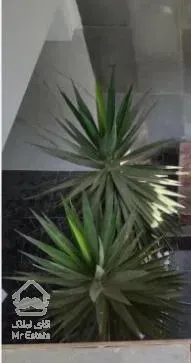 ویلا ۳۲۰ متری