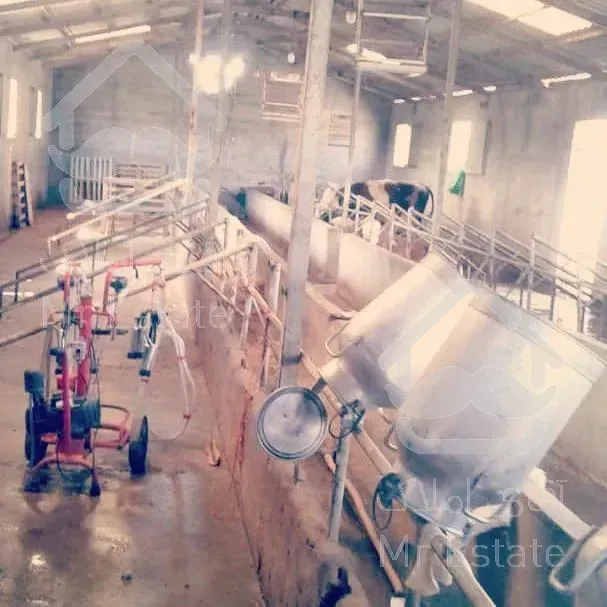 فروش‌فوری گاوداری