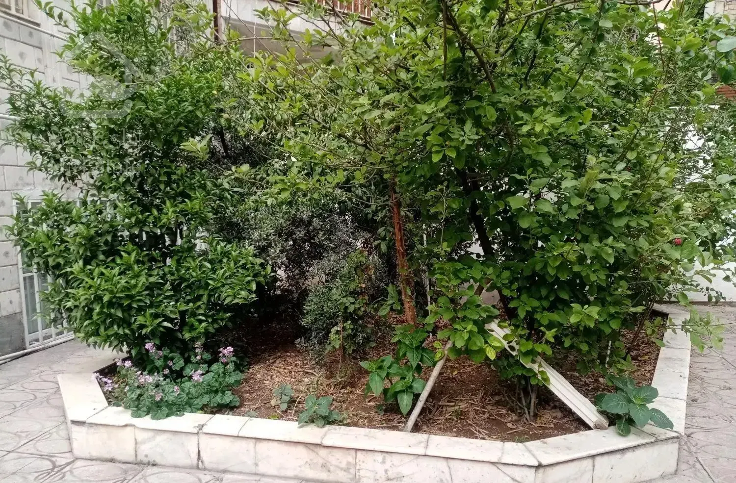 آپارتمان ۷۵ متر قلهک