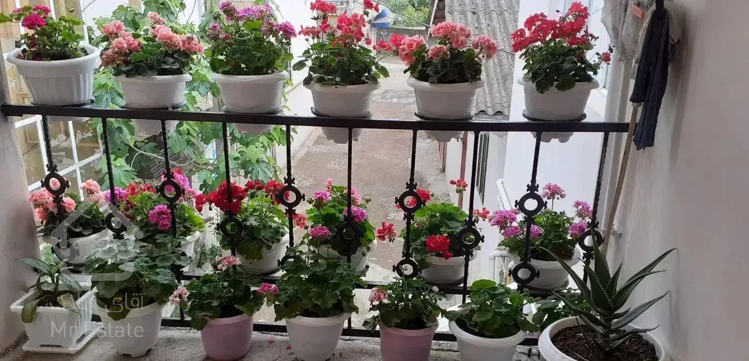 سوئیت دربستی مطمعن خانواده با امنیت کامل