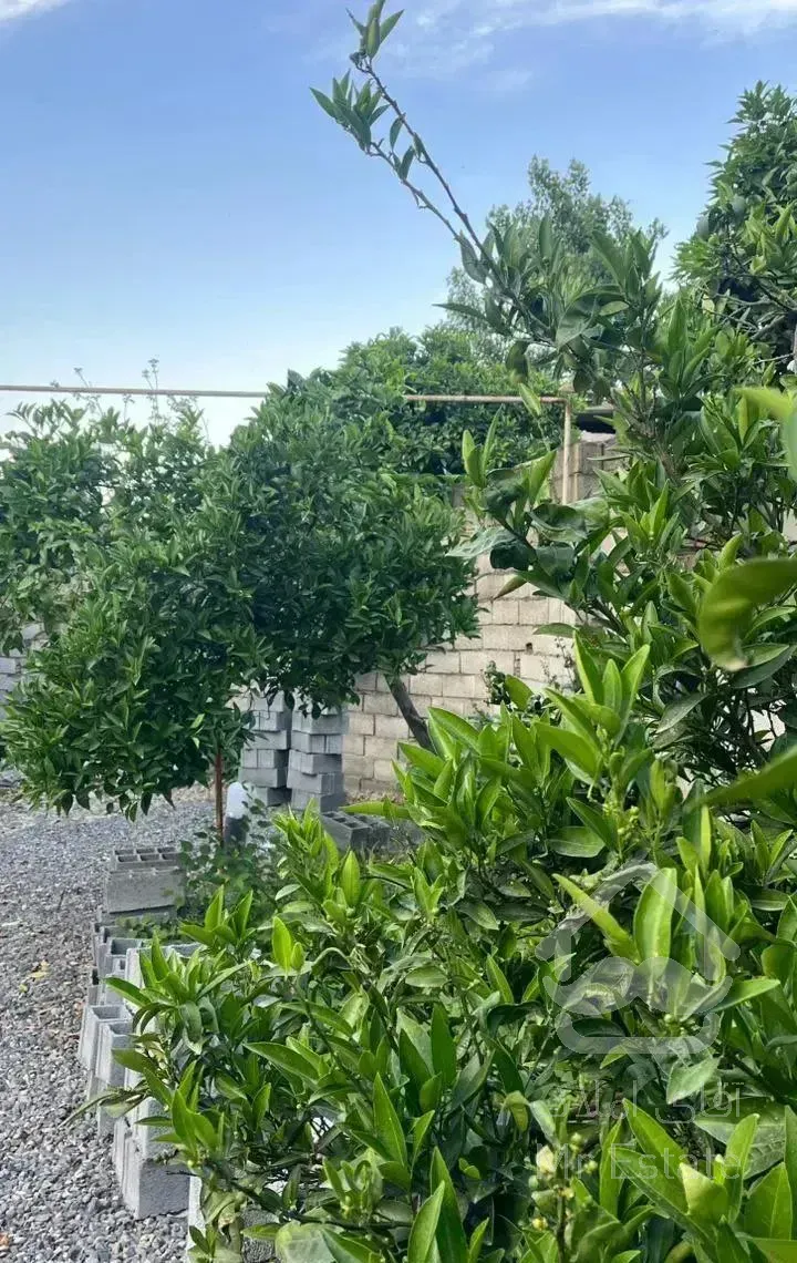 300متر ویلا دونبش سنددار کلید نخورده جاده واسکس