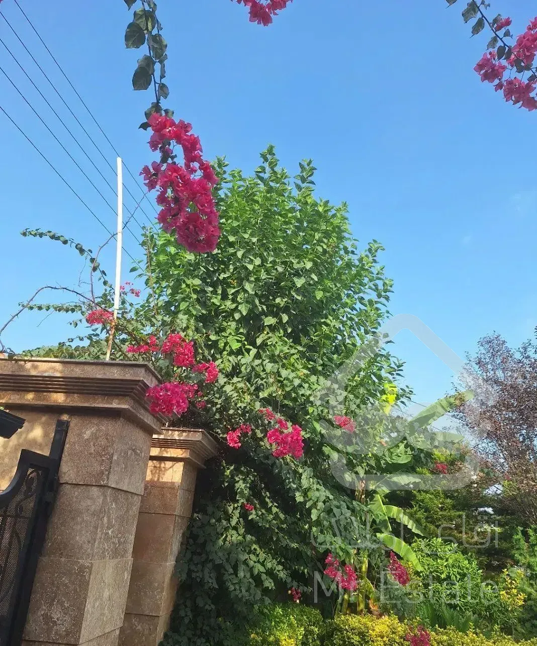 ویلای لوکس ،چمستان ،نور،مازندران،رهن اجاره