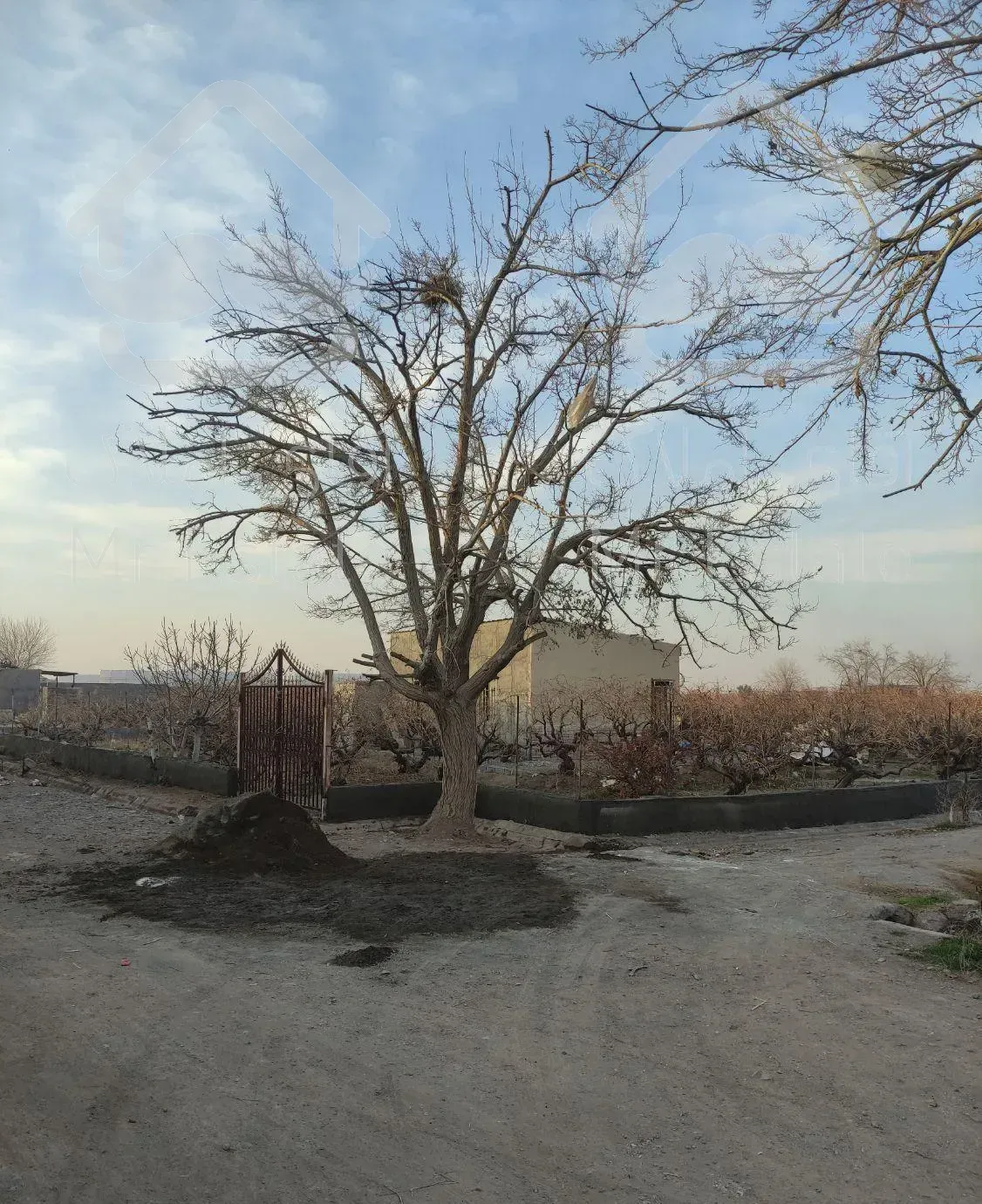 اجاره باغ ویلا