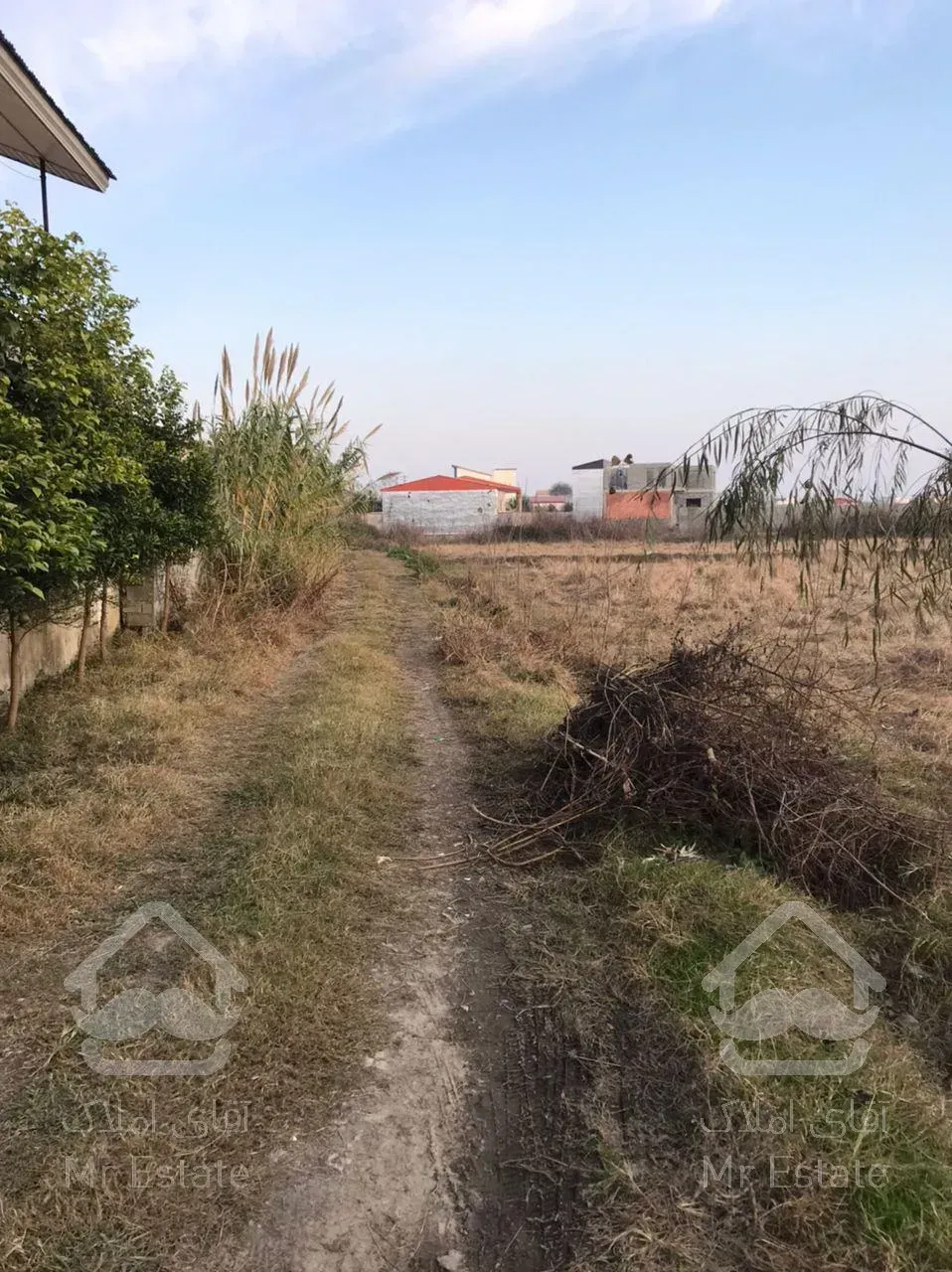 فروش فوق‌العاده زمین ۲۰۰ متری مناسب سرمایه گذاری در شمال