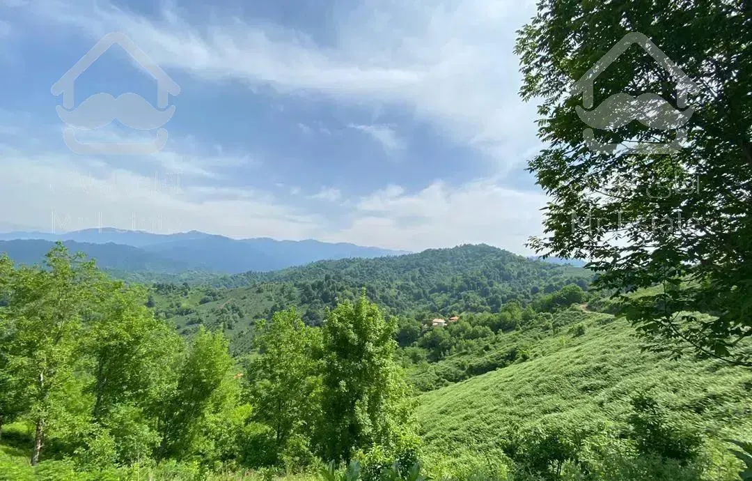 تراس ویو محل ارام امن دل طبیعت بکر