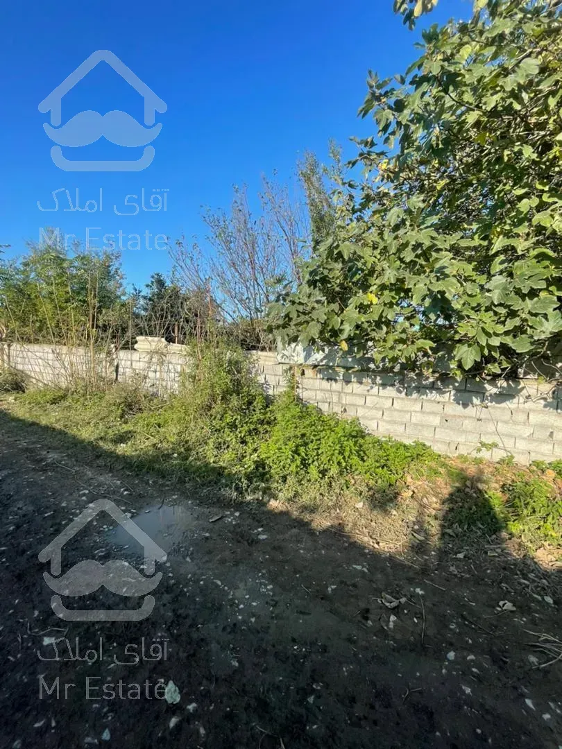 فروش فوری باغ در آمل مناسب سرمایه گذاری