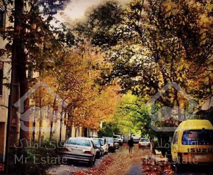 ۲۱۰ متری کامرانیه جنوبی