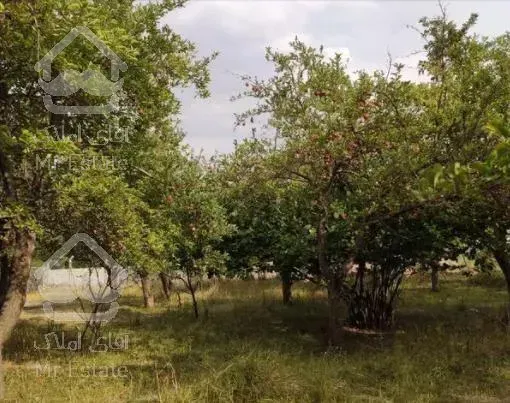 زمین ویلایی 10000 متری و باغ تبریز  سعیدآباد