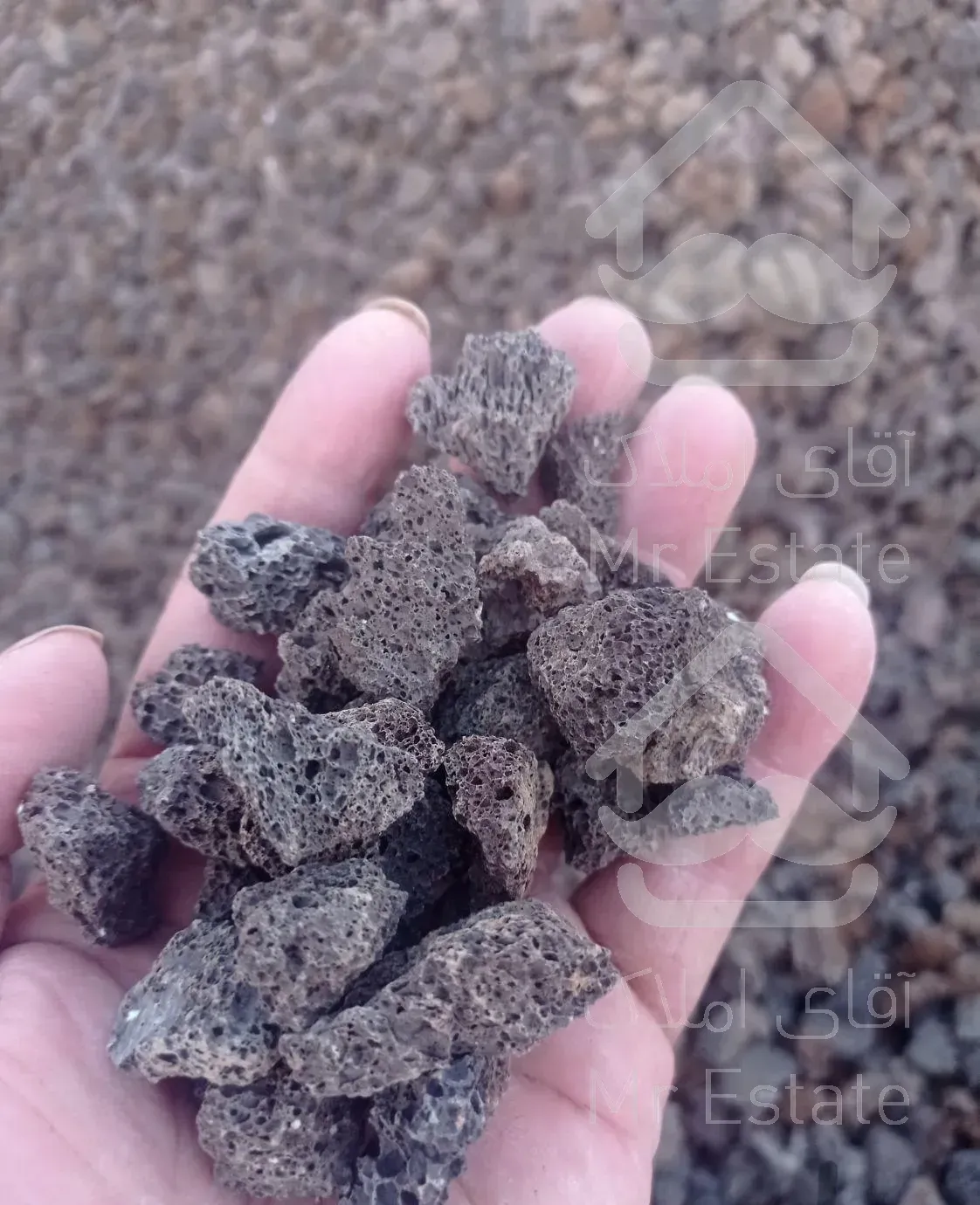 پوکه بادامی نخودی عدسی پودری معدنی