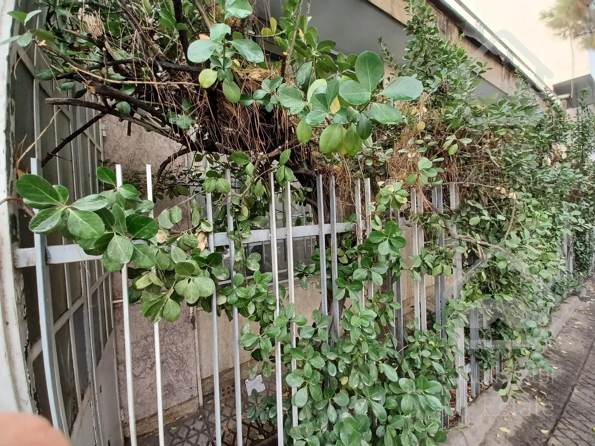 اجاره خانه دربستی مستغلات موقعیت اداری صادقیه بر اصلی