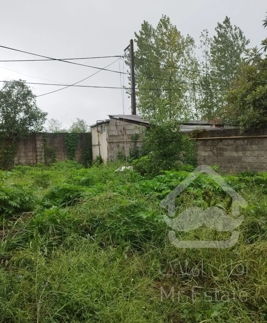 ویلاباغ شهری ۲۶۷متر سند تک برگ