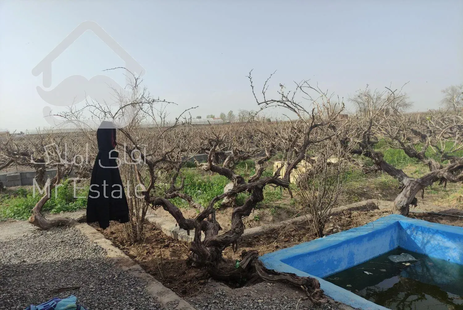 اجاره باغ ویلا