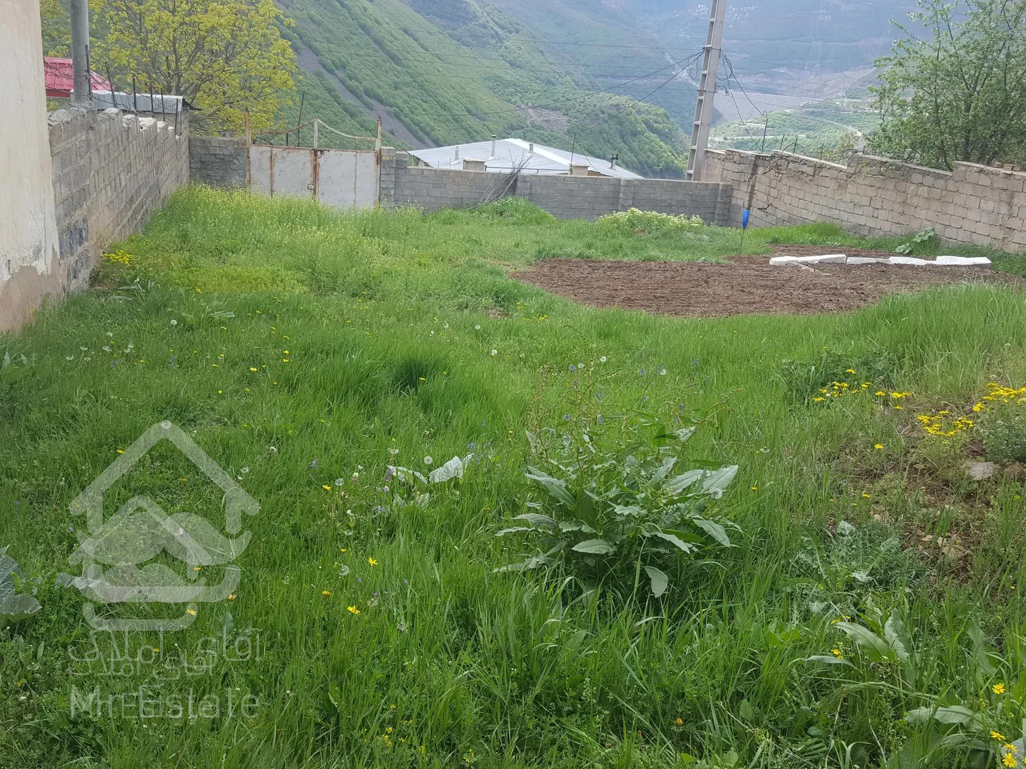 فروش زمین ییلاقی در روستای ولی آباد