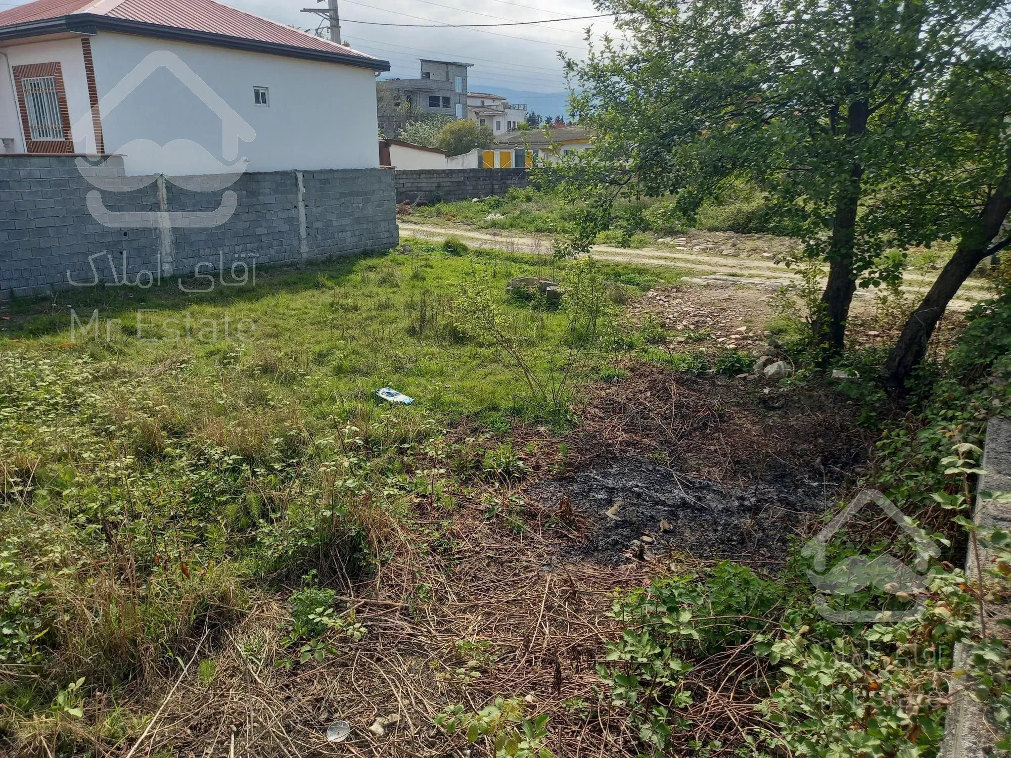 خریدار زمین 350متر