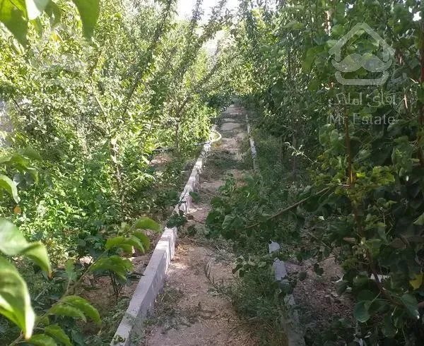 ویلا باغ ۴۱۹متر در منطقه دماوند(مهراباد.چشمه ها)