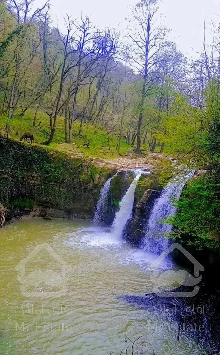 اجاره کلبه. سوئیت