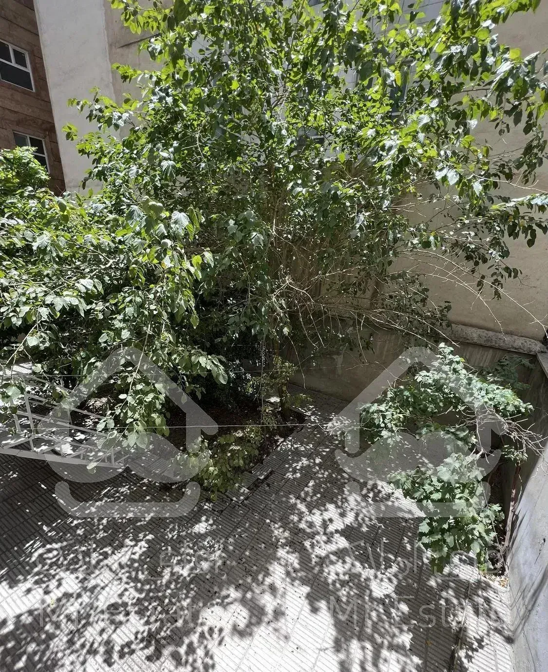 خ فرجام بلوار اردیبهشت ۸۱ متر (ویلایی)