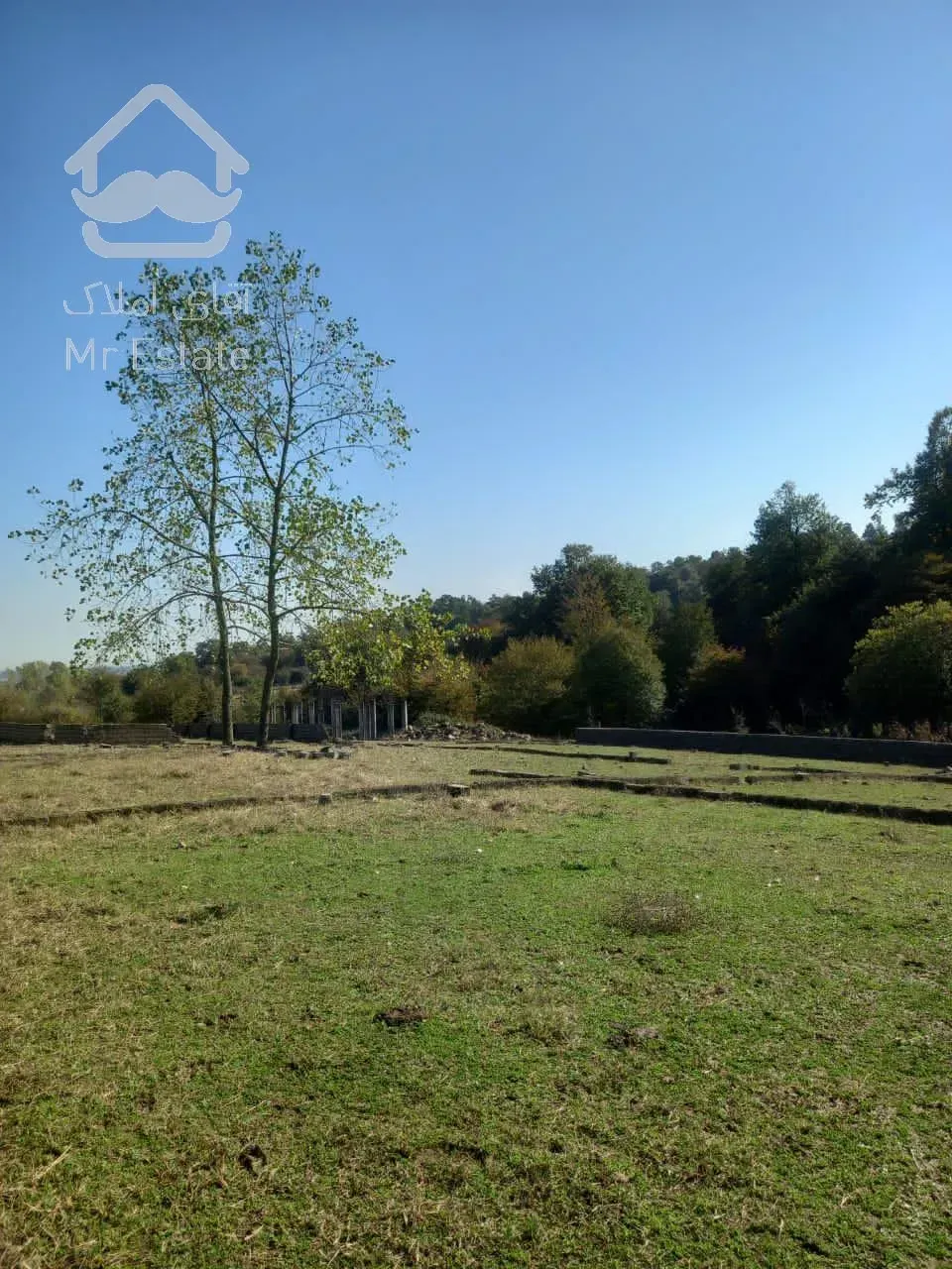 زمين قواره يك جنگل،تو شهركى،سنددارد،مناسب سرمايه گزارى