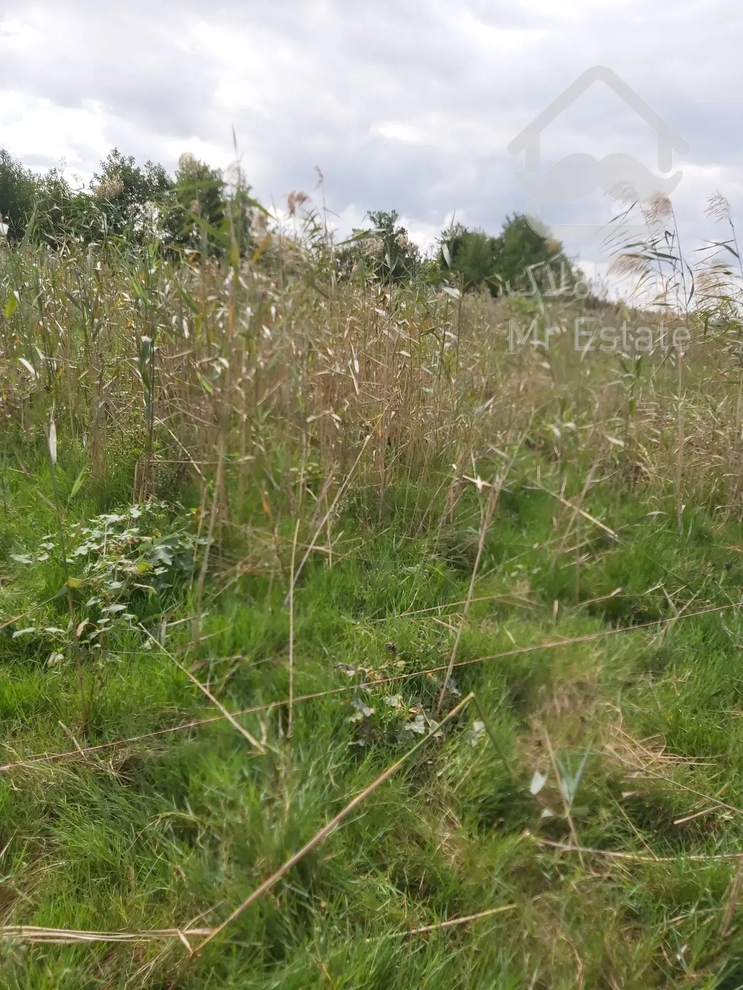 زمین مسکونی سند دار