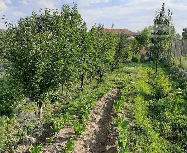 باغ ویلا ۵۰۰متری ابتدای کلفور