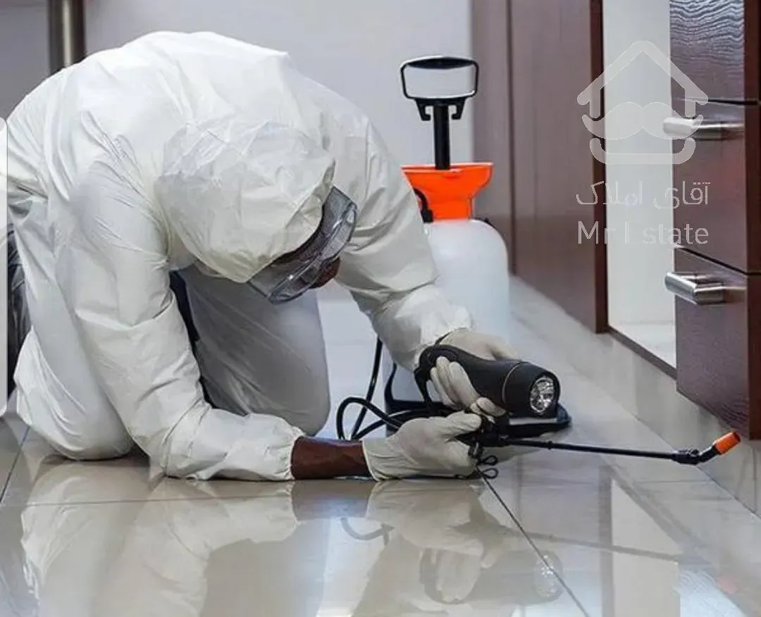 سمپاشی وریشه کنی هرگونه حشره ازساس تاسوسک باارایه ی ضمانت نامه