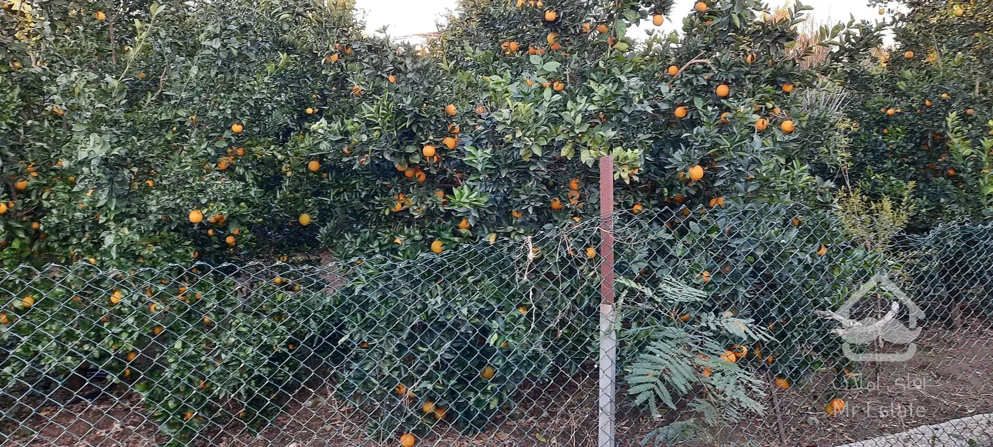 فروش باغچه ،مسکونی