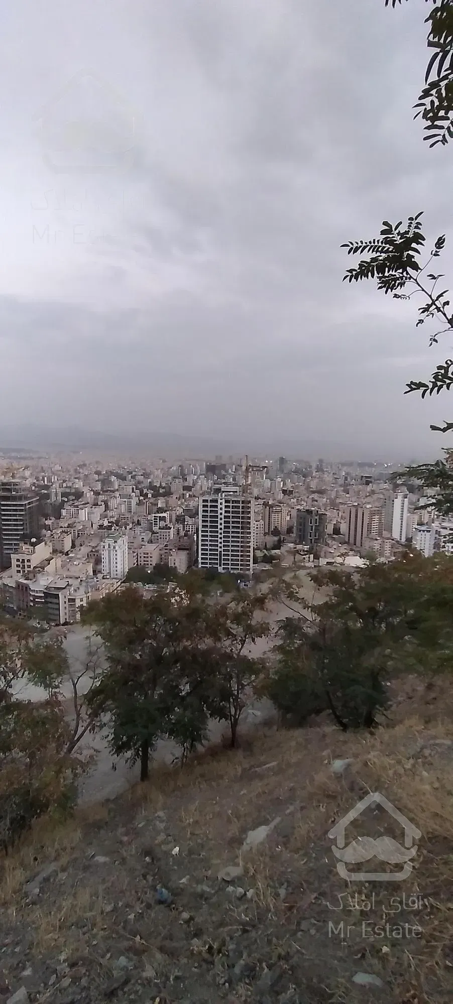 ۱۱۰متر، برج مجلل رونیکا پالاس، پونک